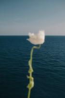 Product_Care_Option_One_Image_3