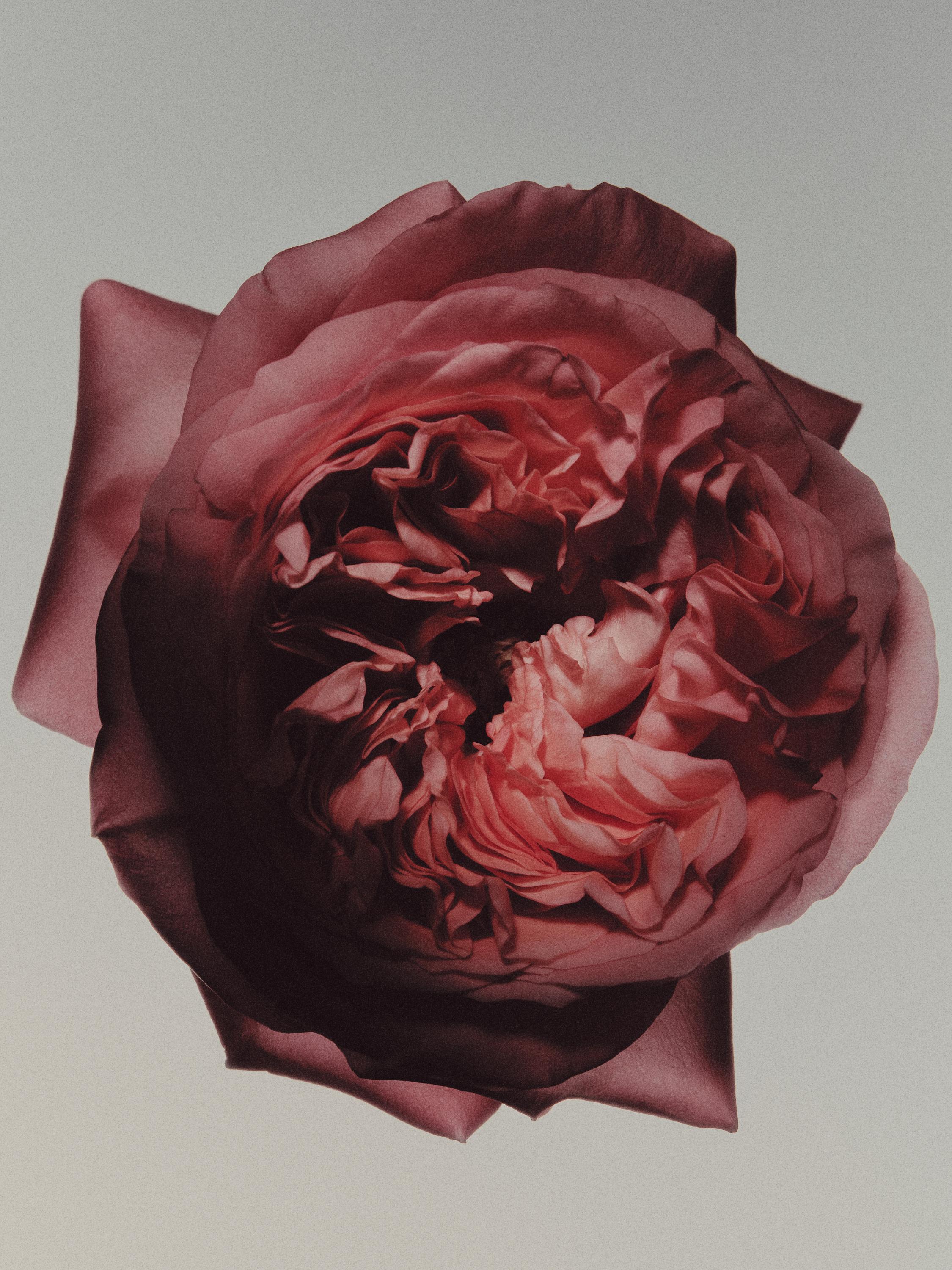 (100 ml) Satin signature eau de parfum