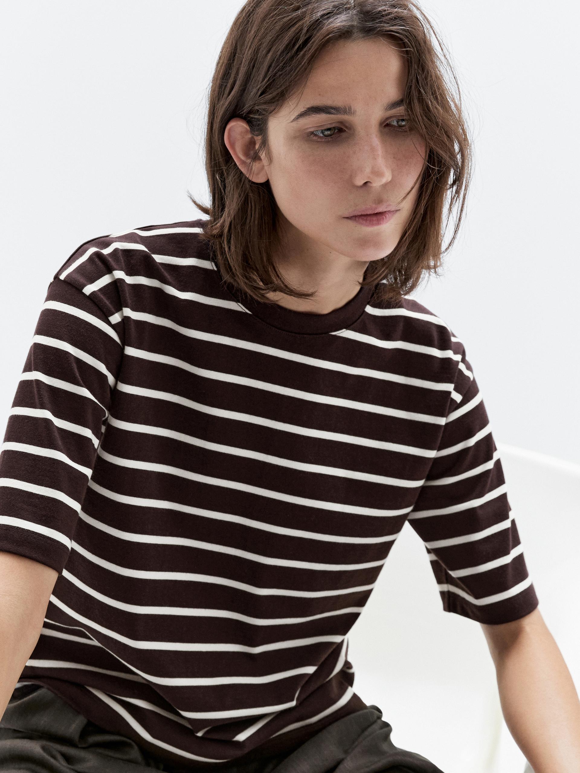 Camiseta Rayas 100% Algodón - Marrón - L - Massimo Dutti - Mujer