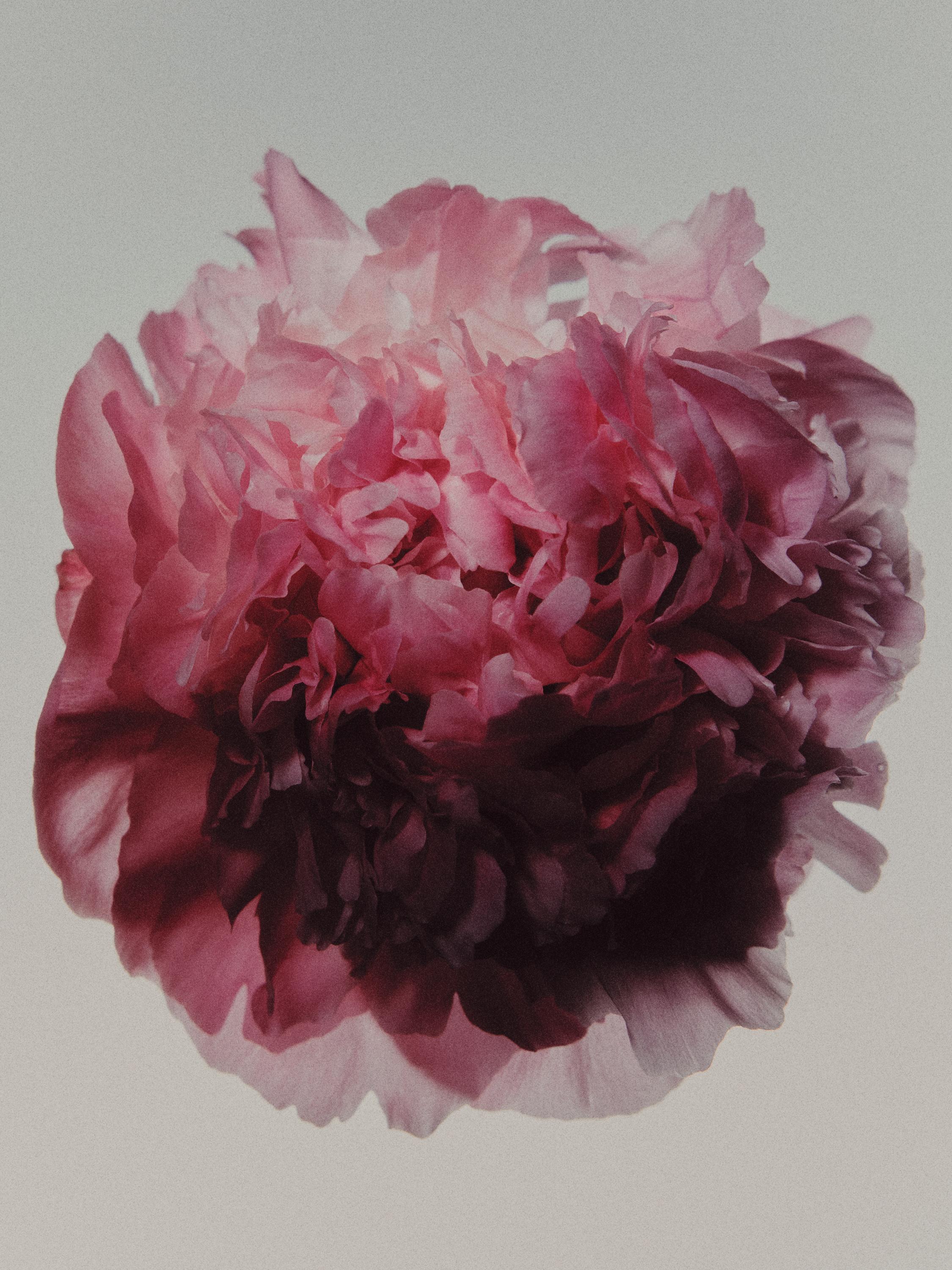 (100 ml) PEONY INTENSE EAU DE PARFUM