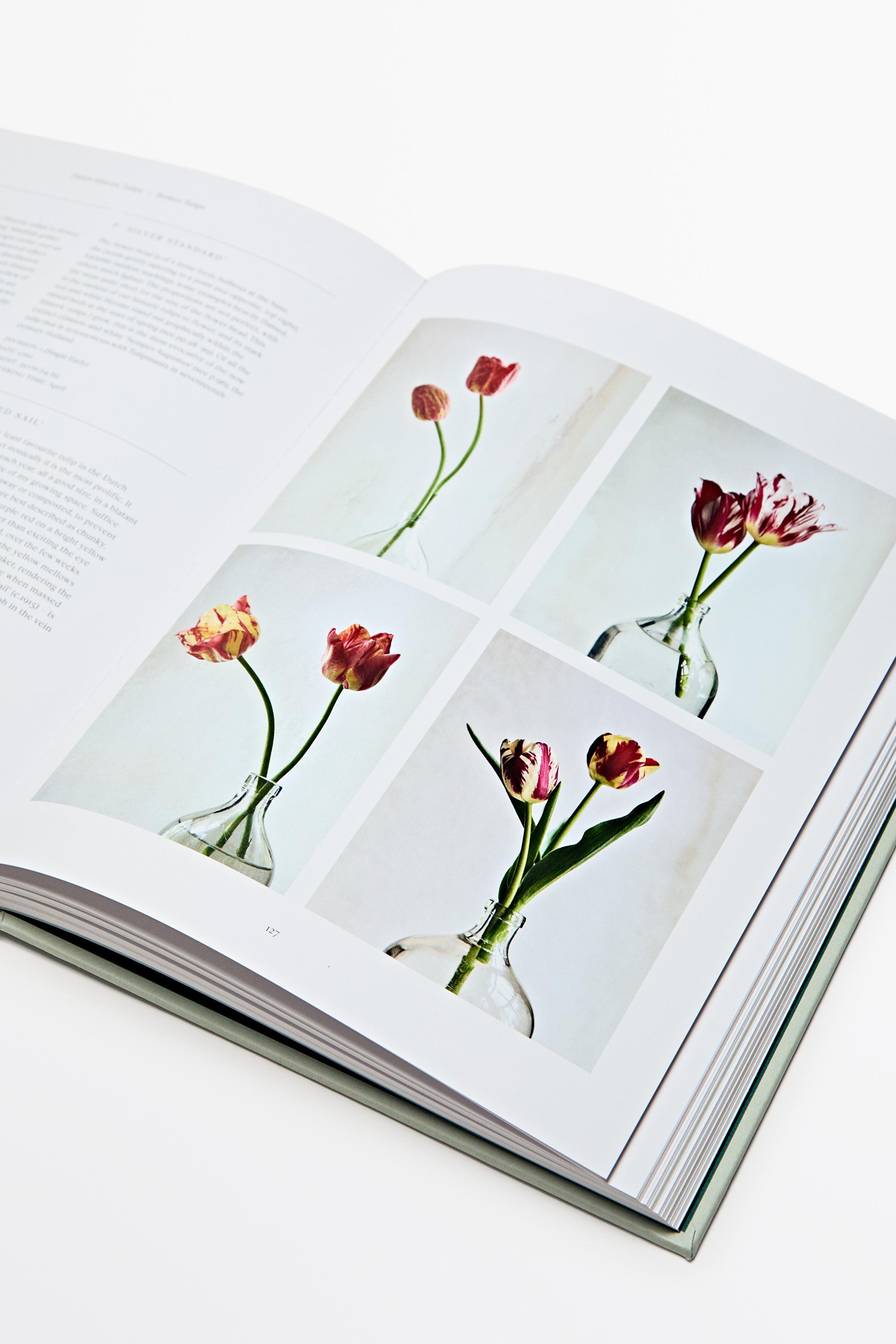 The Tulip Garden book — WHITE