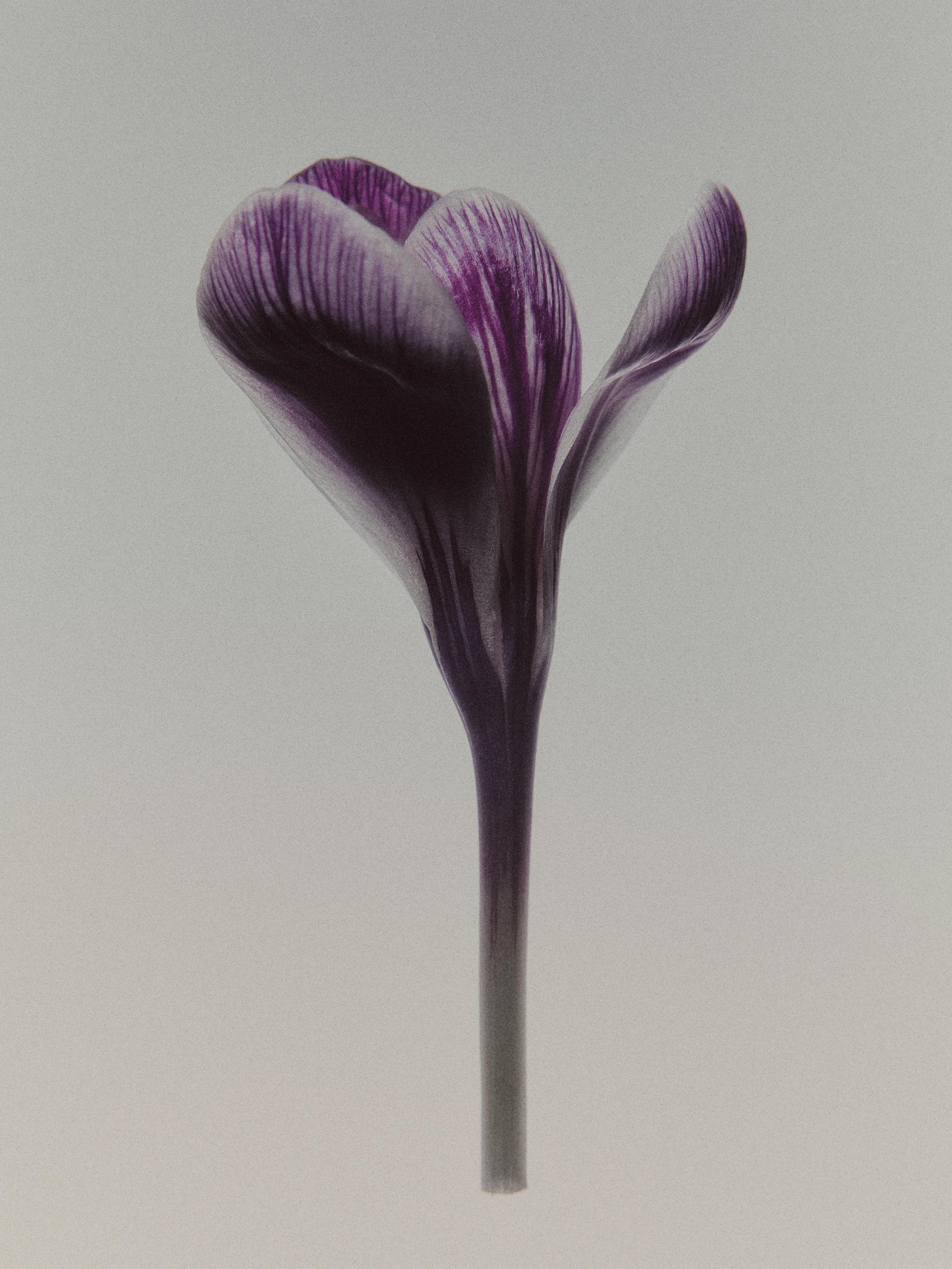 BLACK EVENING პარფიუმერული წყალი (100მლ)