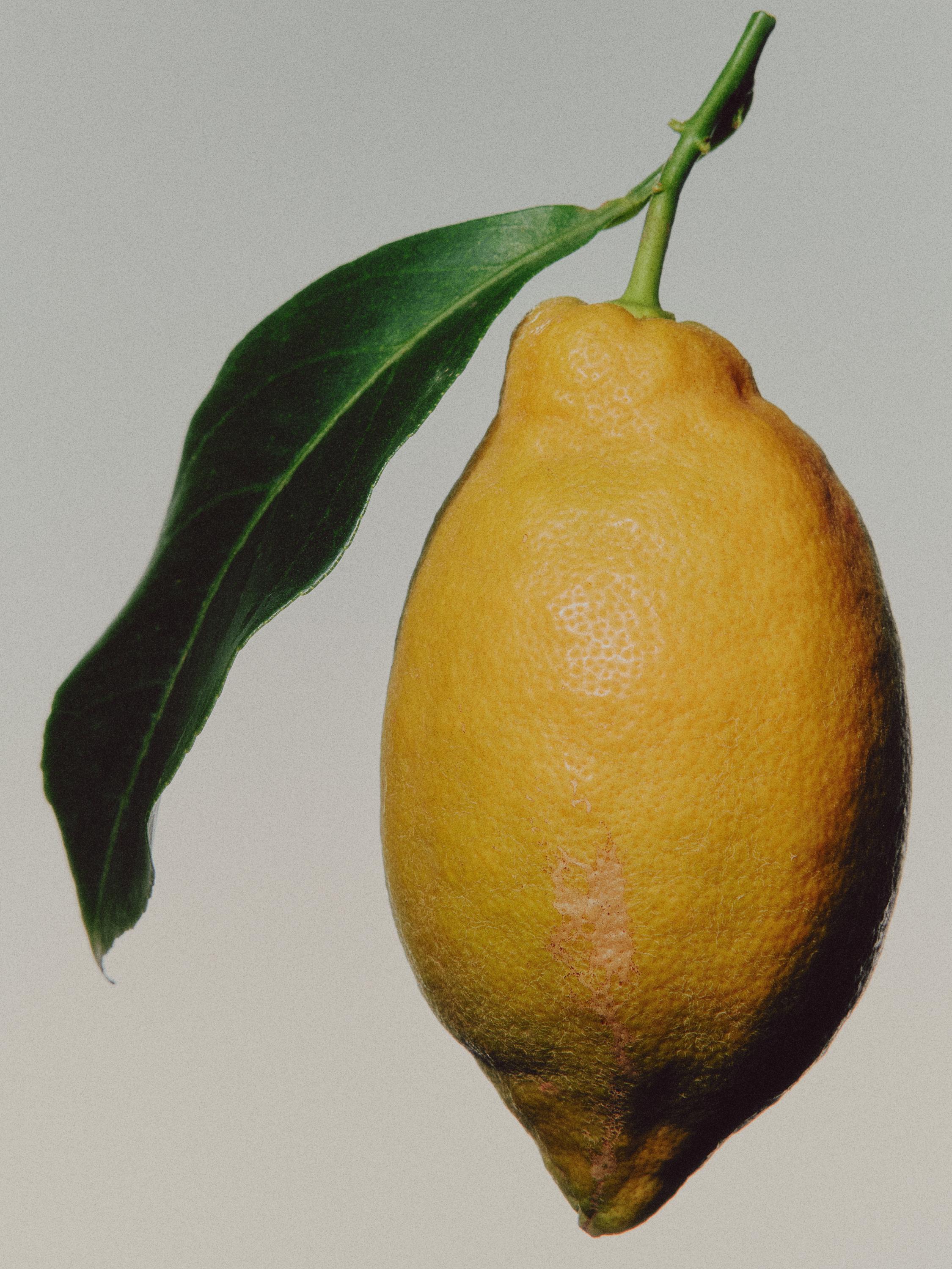 (100 ml) Citrus Dew Eau de Parfum — YELLOW