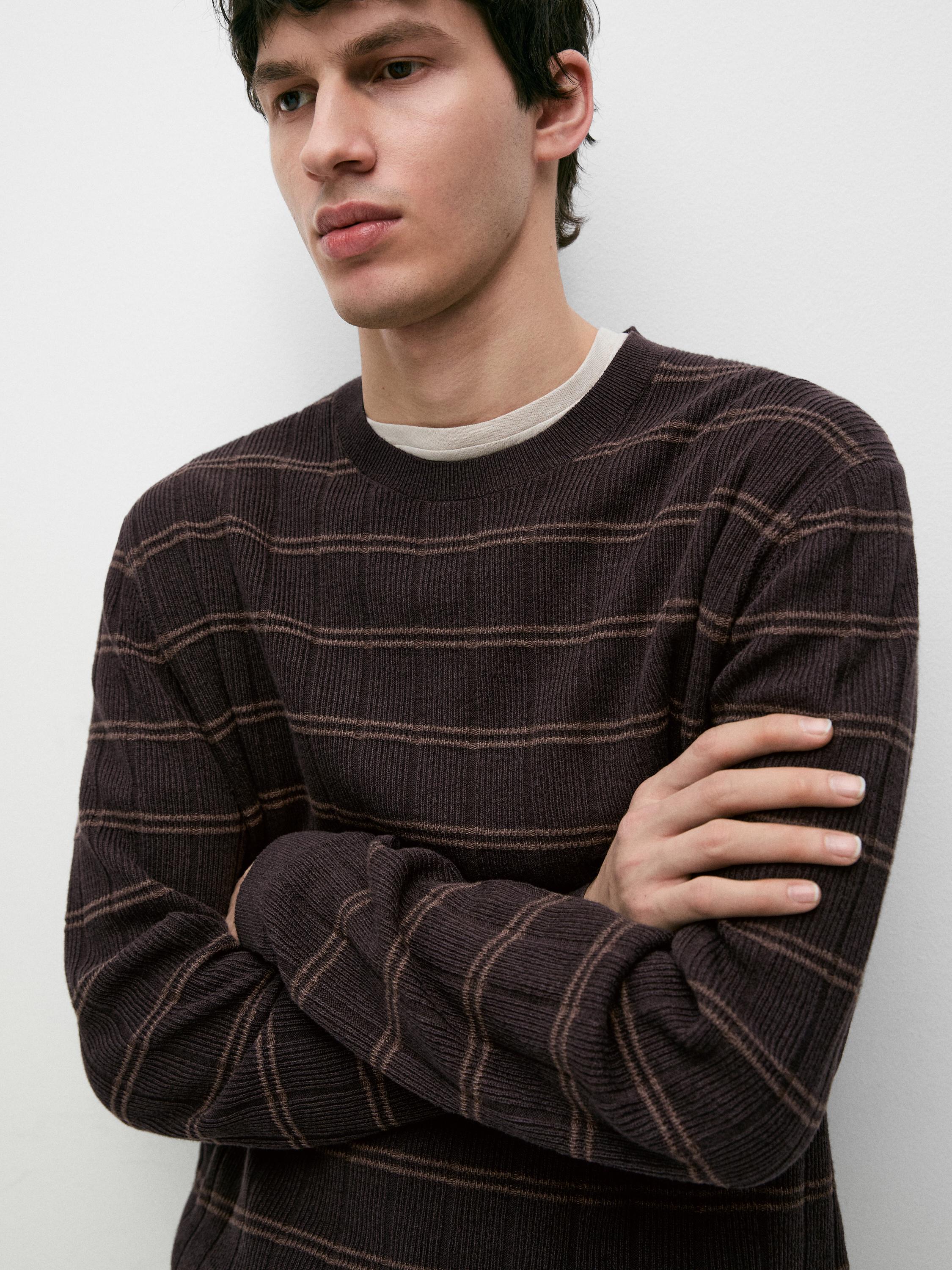 Striped knit crew neck sweater — BROWN