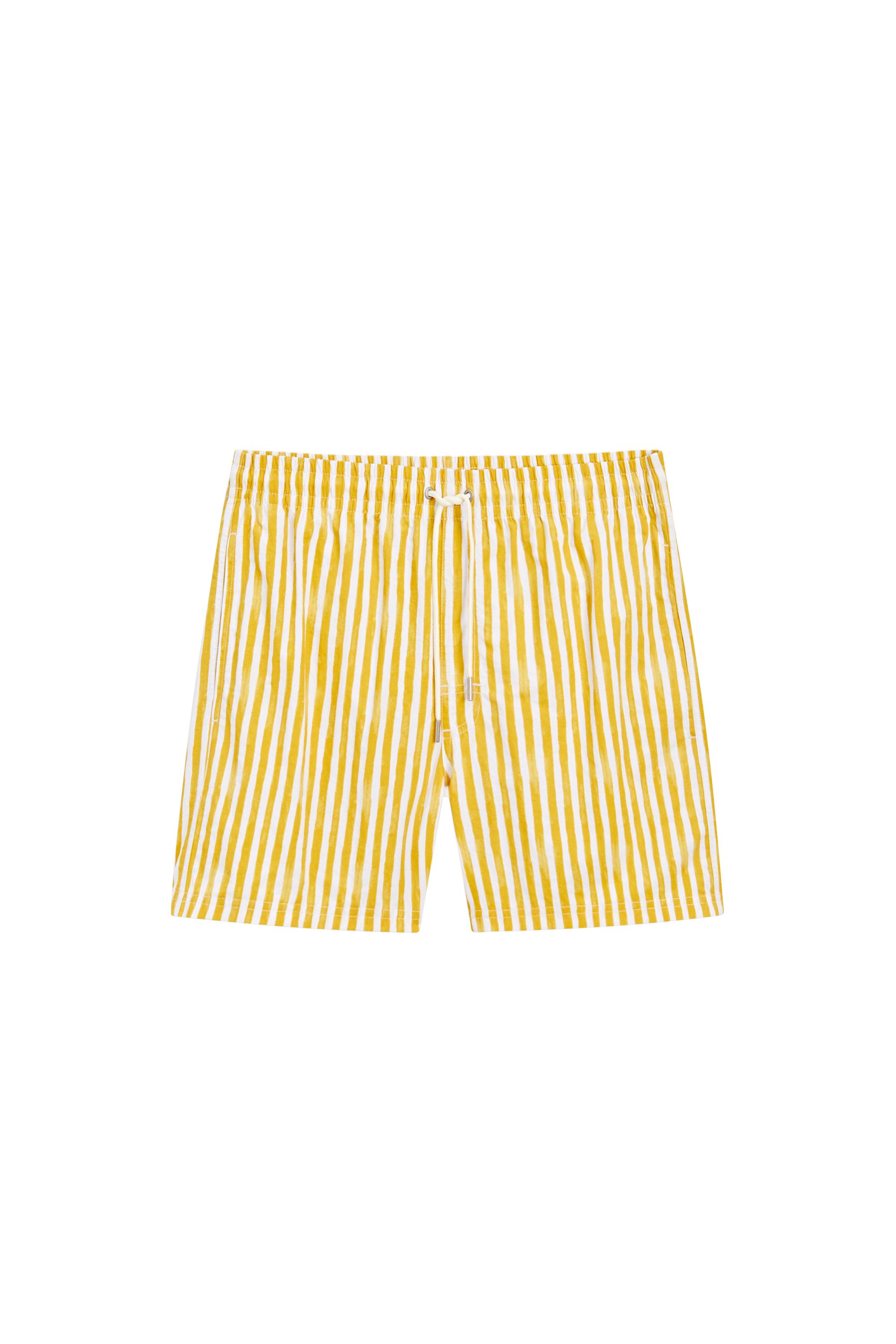 Massimo Dutti Striped Printed Swimming Trunks