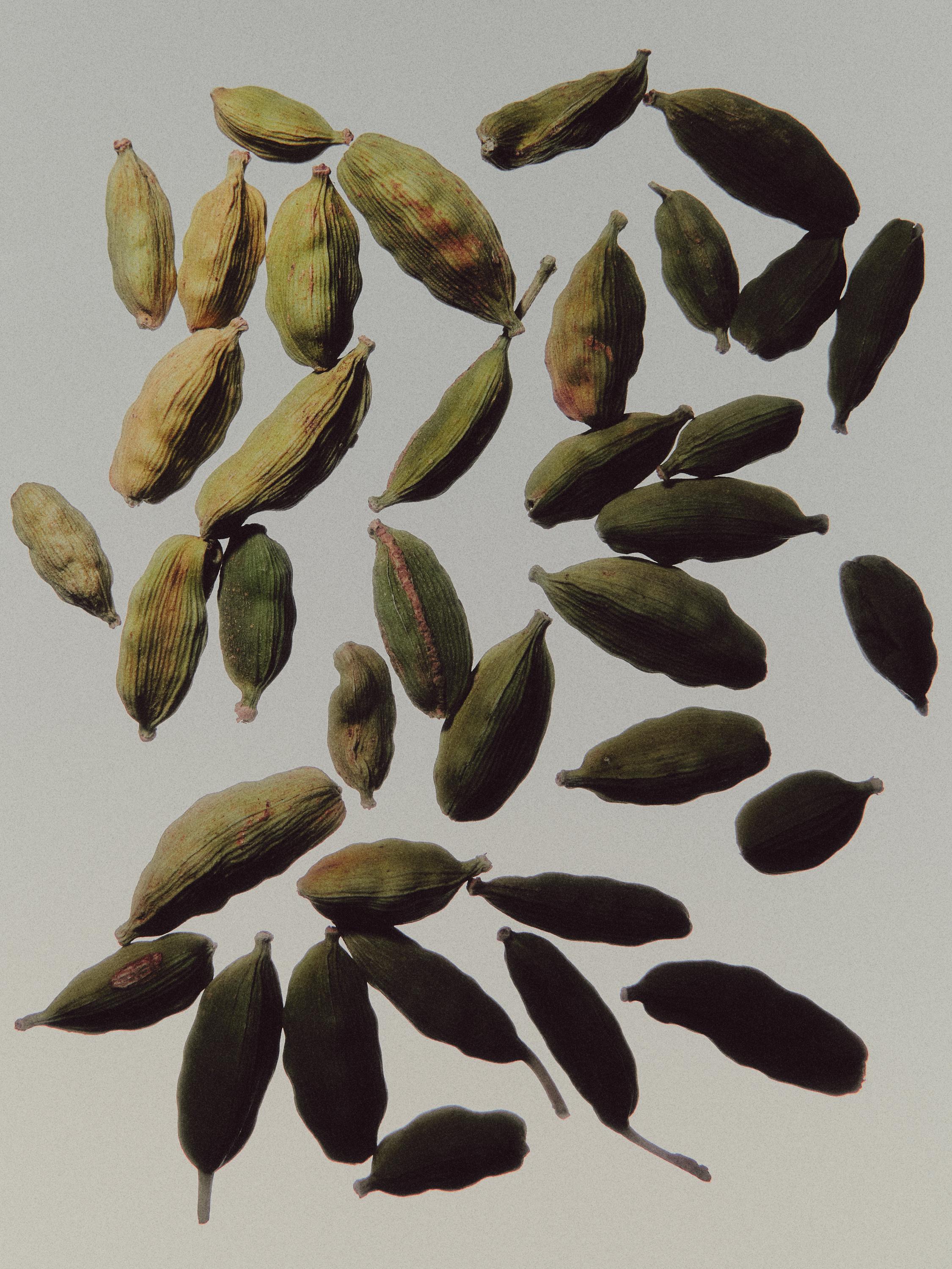 (100 ml) Timeless Tonka eau de parfum