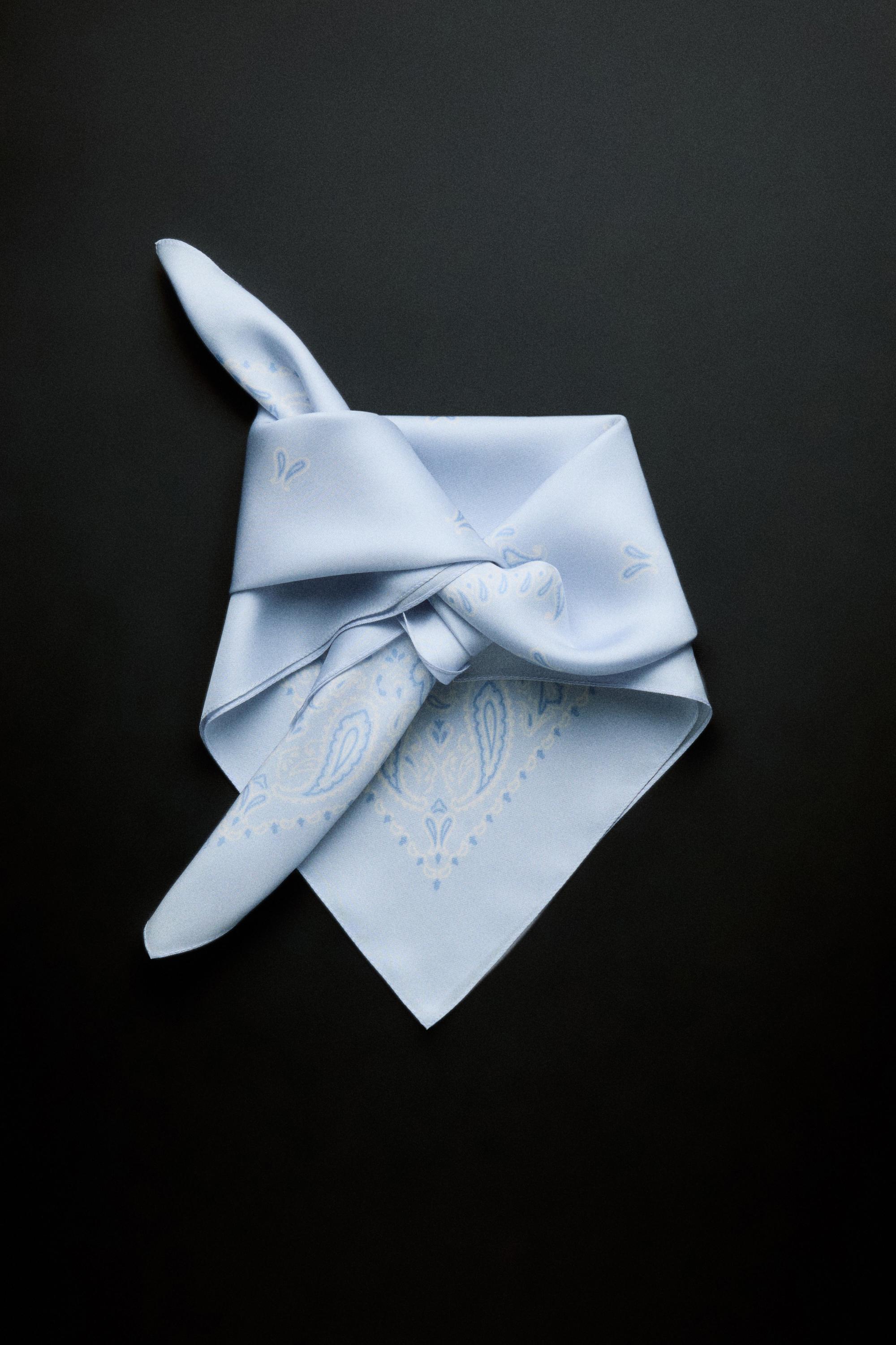 Paisley print scarf — SKY BLUE