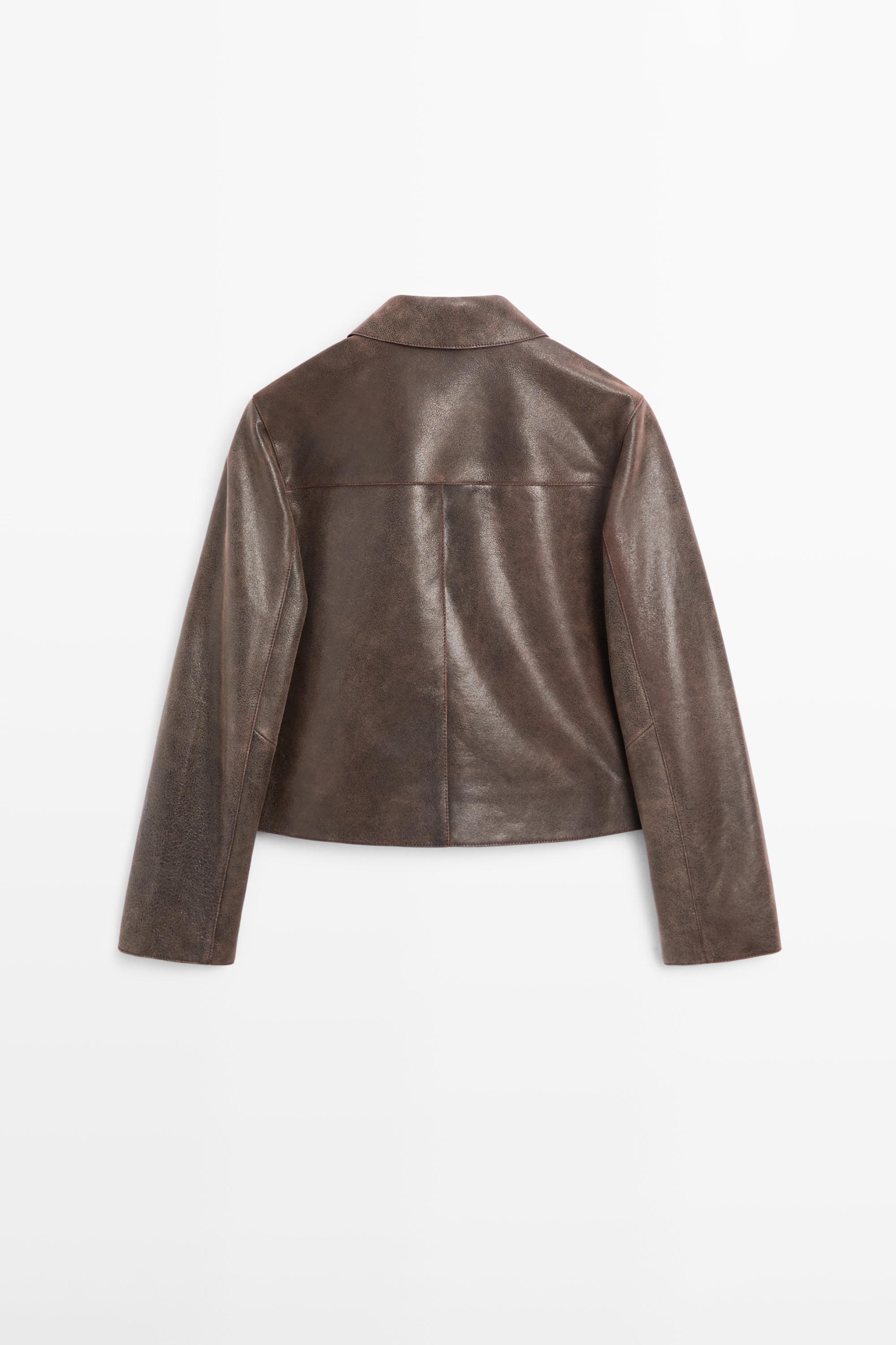 Suede leather jacket · Brown · Bomberâ Jacket | Massimo Dutti